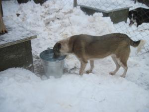 Прикачена снимка