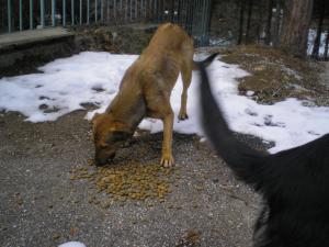 Прикачена снимка