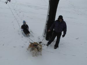 Прикачена снимка