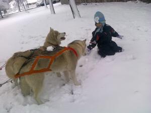 Прикачена снимка