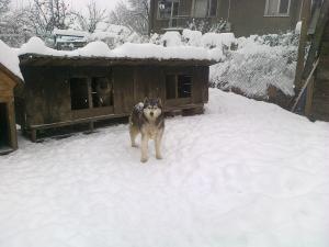 Прикачена снимка