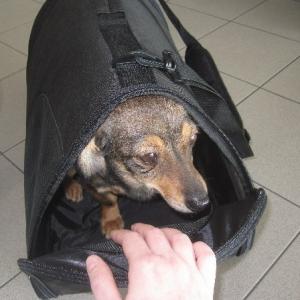 Прикачена снимка