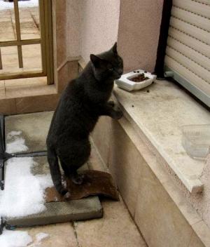 Прикачена снимка