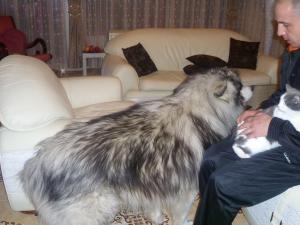 Прикачена снимка