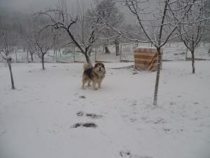 Прикачена снимка