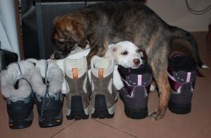 Прикачена снимка