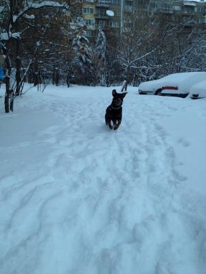 Прикачена снимка