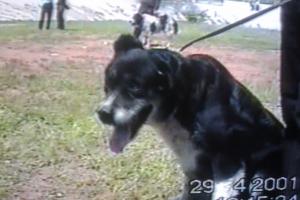 Прикачена снимка