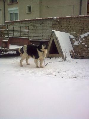 Прикачена снимка
