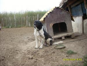 Прикачена снимка