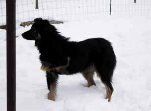 Прикачена снимка