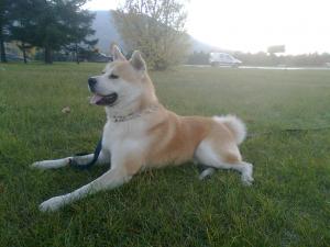 Прикачена снимка