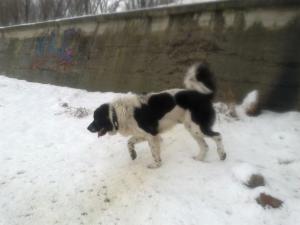 Прикачена снимка