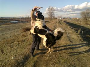 Прикачена снимка