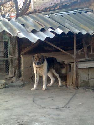 Прикачена снимка