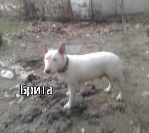 Прикачена снимка