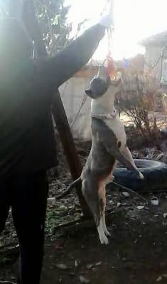 Прикачена снимка