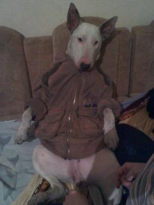 Прикачена снимка