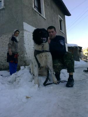 Прикачена снимка