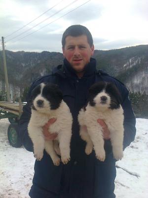 Прикачена снимка