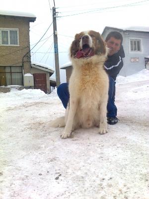 Прикачена снимка
