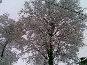 Прикачена снимка