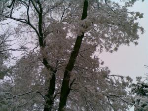 Прикачена снимка