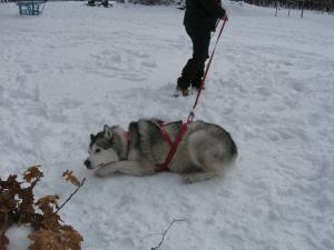 Прикачена снимка