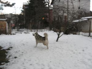 Прикачена снимка