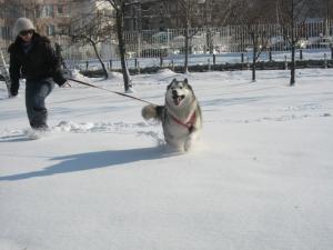 Прикачена снимка