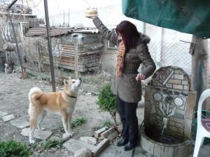 Прикачена снимка