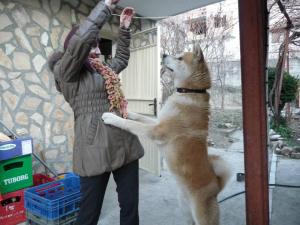 Прикачена снимка