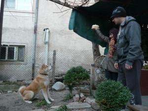 Прикачена снимка