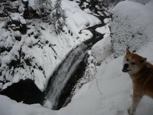 Прикачена снимка