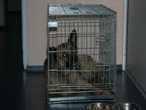 Прикачена снимка