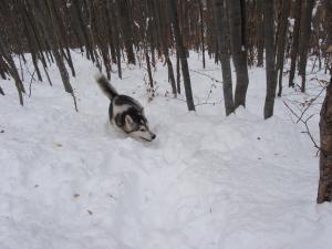 Прикачена снимка