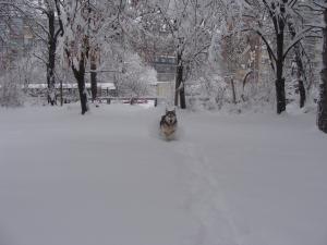 Прикачена снимка