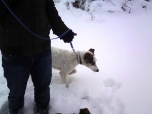 Прикачена снимка