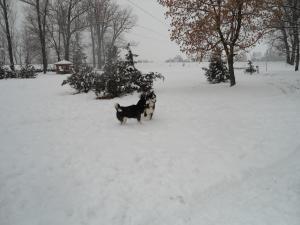 Прикачена снимка