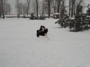 Прикачена снимка