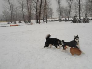 Прикачена снимка