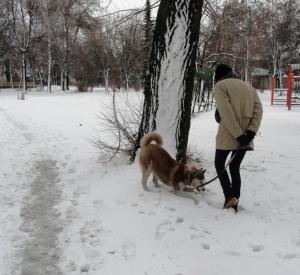 Прикачена снимка