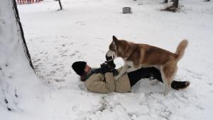 Прикачена снимка