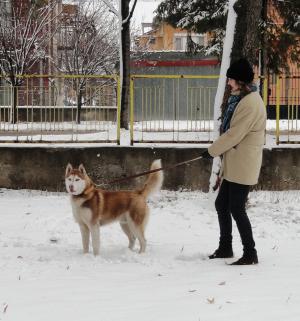 Прикачена снимка
