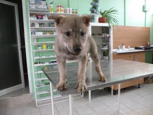 Прикачена снимка