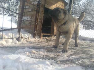 Прикачена снимка