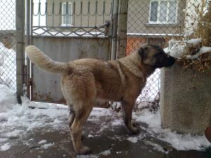 Прикачена снимка