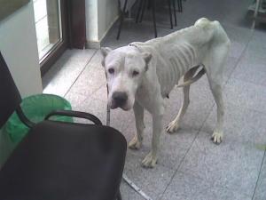 Прикачена снимка