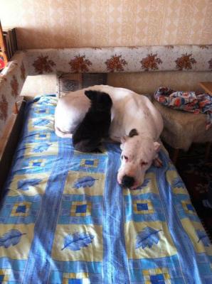 Прикачена снимка