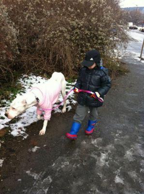 Прикачена снимка